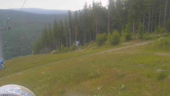 Snímek    4.7.2025 v 11:01