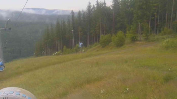 Snímek    7.7.2025 v 05:31