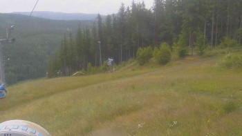 Snímek    7.7.2025 v 14:01