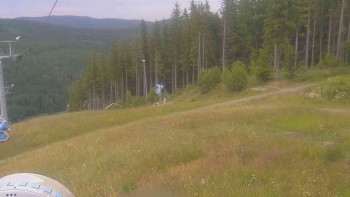 Snímek    13.7.2025 v 19:01