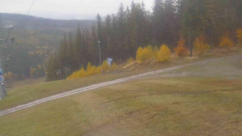 Snímek    25.10.2025 v 17:31