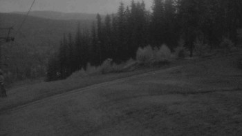 Snímek    25.10.2025 v 18:01