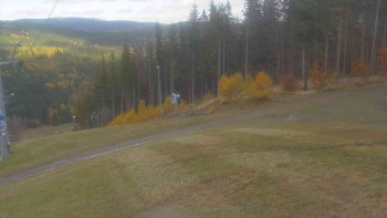 Snímek    29.10.2025 v 12:01