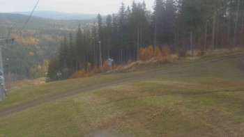 Snímek 7.11.2025 v 08:31