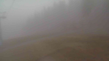 Snímek 17.11.2025 v 07:01