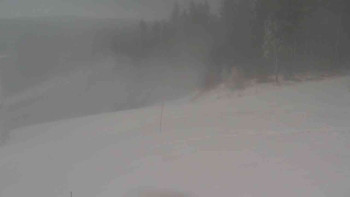 Snímek 19.11.2025 v 12:01