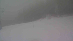 Sjezdovka Sportovní