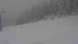 Sjezdovka Sportovní