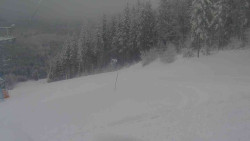 Sjezdovka Sportovní