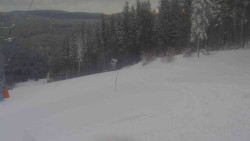 Sjezdovka Sportovní