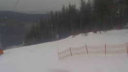 Sjezdovka Sportovní