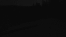 Sjezdovka Sportovní