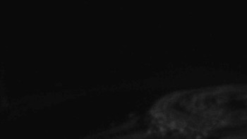 Ski Karlov - areál Karlov