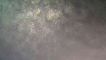 Ski Karlov - areál Karlov