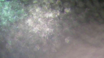 Ski Karlov - areál Karlov