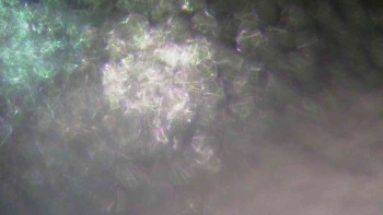 Ski Karlov - areál Karlov