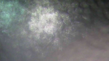 Ski Karlov - areál Karlov