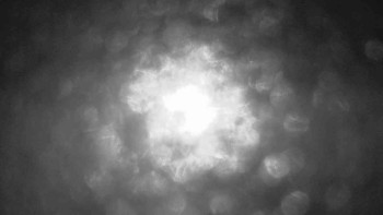 Ski Karlov - areál Karlov