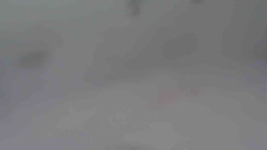 Ski Karlov - areál Karlov - Sjezdovka Sportovní - 25.12.2025 v 11:31 Ski Karlov - areál Karlov - Sjezdovka Sportovní - 25.12.2025 v 11:31