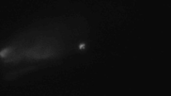 Ski Karlov - areál Karlov