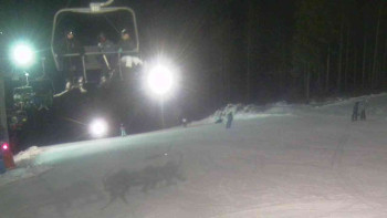 Ski Karlov - areál Karlov