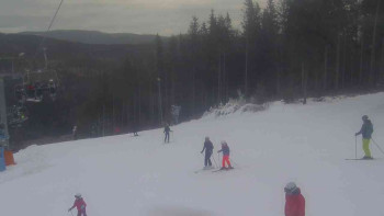 Ski Karlov - areál Karlov