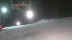 Sjezdovka Sportovní