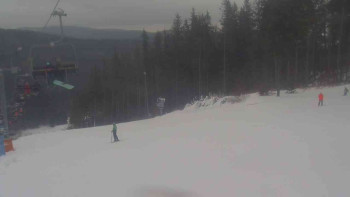 Ski Karlov - areál Karlov