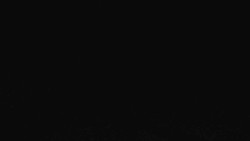 Sjezdovka Sportovní