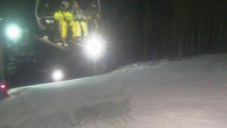 Sjezdovka Sportovní