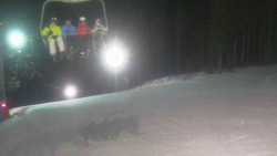 Sjezdovka Sportovní