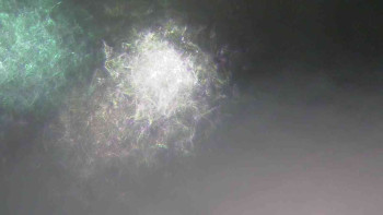 Ski Karlov - areál Karlov