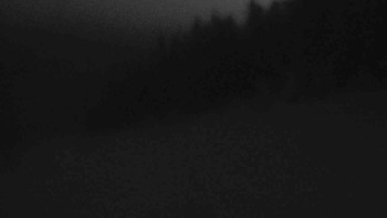 Ski Karlov - areál Karlov