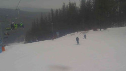 Sjezdovka Sportovní