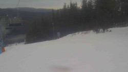 Sjezdovka Sportovní