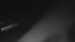 Sjezdovka Sportovní