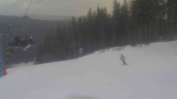 Sjezdovka Sportovní