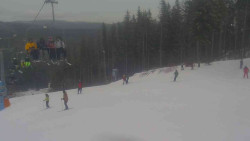 Sjezdovka Sportovní