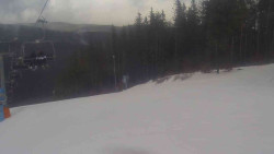 Sjezdovka Sportovní