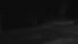 Sjezdovka Sportovní