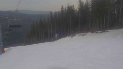 Sjezdovka Sportovní