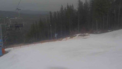 Sjezdovka Sportovní