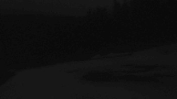 Ski Karlov - areál Karlov