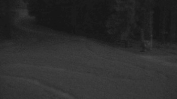 Snímek    14.5.2025 v 04:31