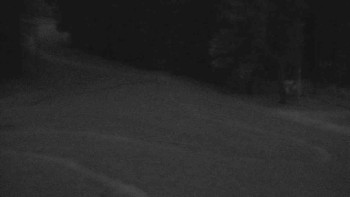 Snímek    15.5.2025 v 04:31
