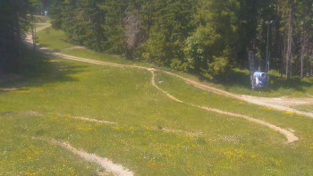 Snímek    15.6.2025 v 13:31