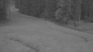 Ski Karlov - areál Karlov - Sportovní - 12.7.2025 v 04:31