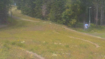 Snímek    12.7.2025 v 13:31
