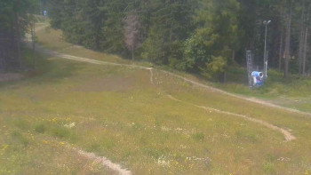 Snímek    13.7.2025 v 13:01