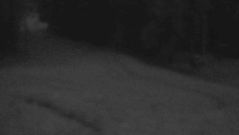 Snímek    14.7.2025 v 21:31